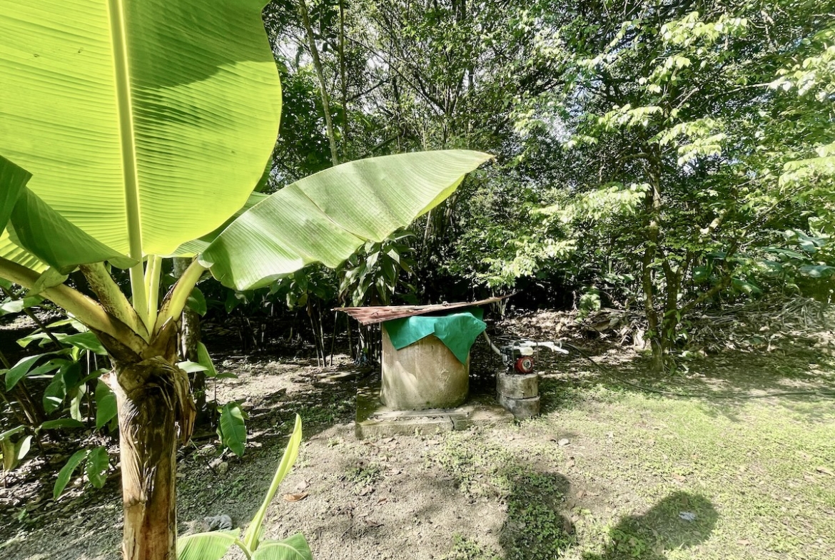 sombrero-beach-surf-shack-osa-peninsula