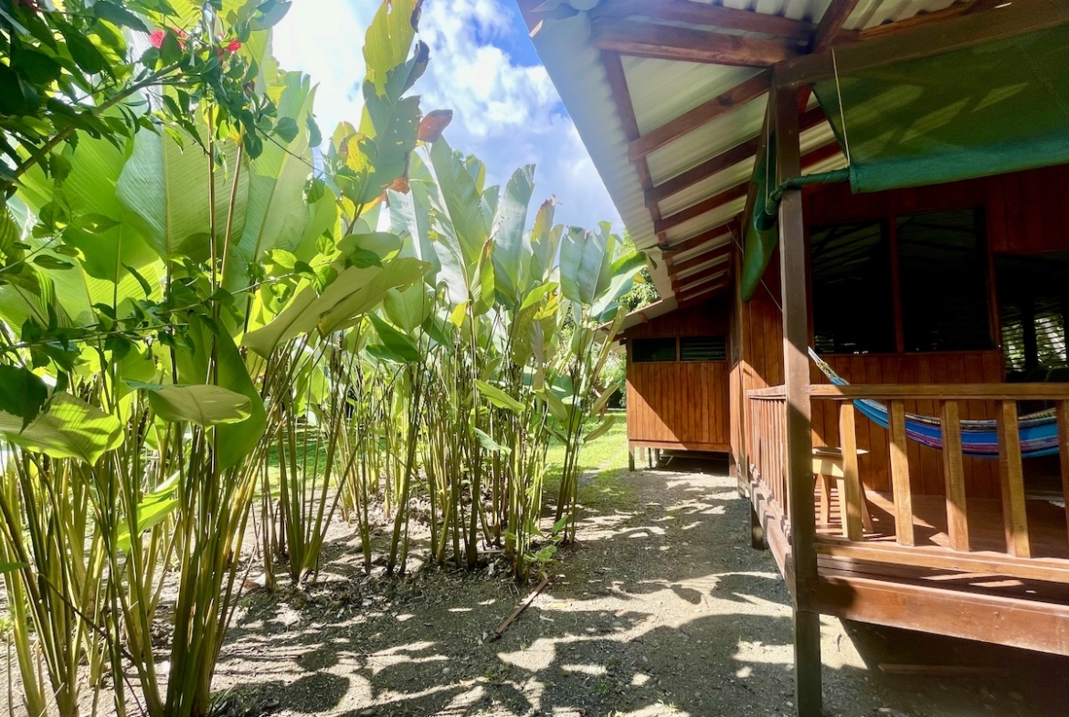 sombrero-beach-surf-shack-osa-peninsula
