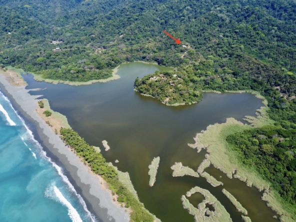 primary-rainforest-27-acre-ocean-view-property