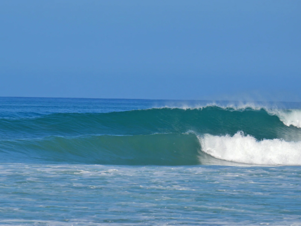 serene-jungle-retreat-with-3-studios