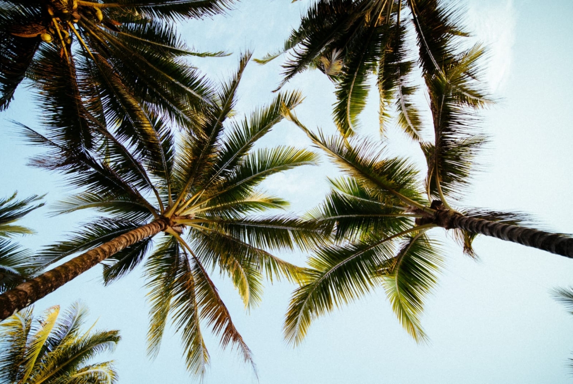 casa-stella-mandiri-beach-krui