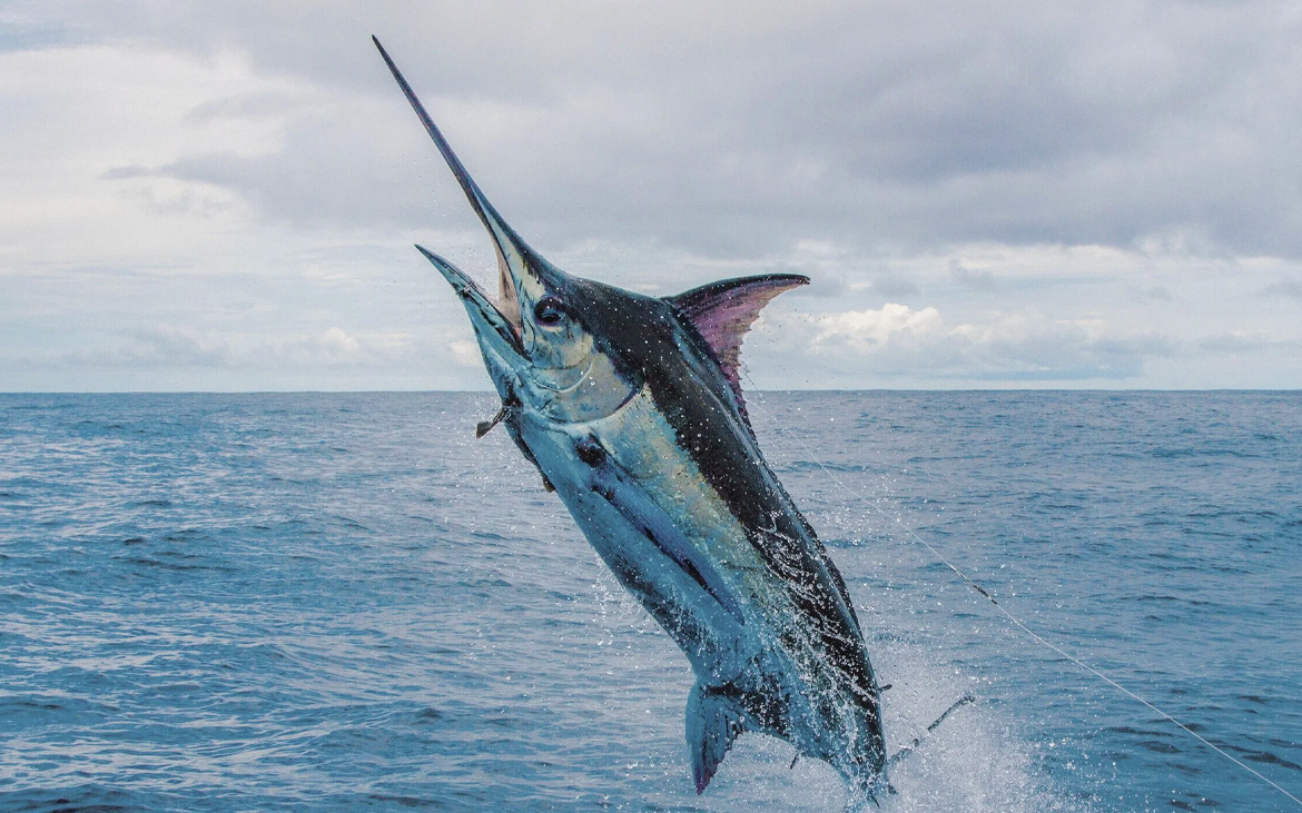 casa-sea-la-vie-costa-rica-surf-house-for-sale