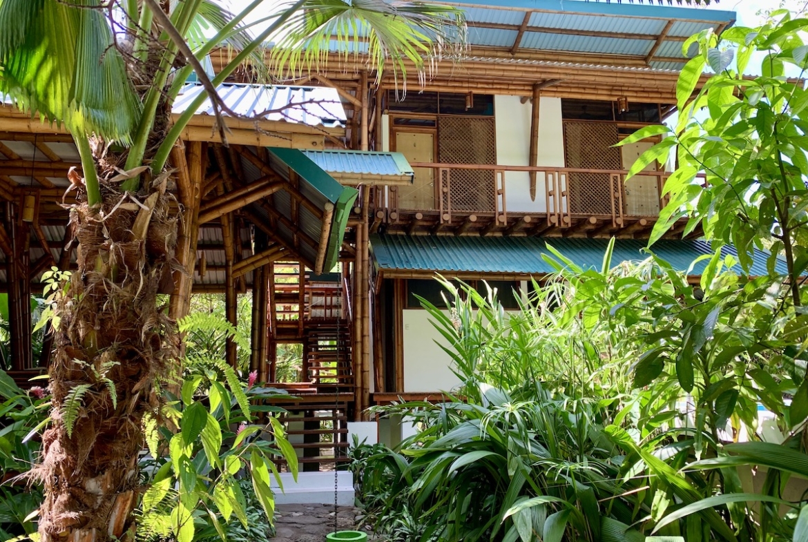 jungle-beach-exotic-retreat