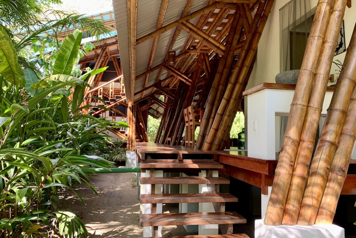 jungle-beach-exotic-retreat