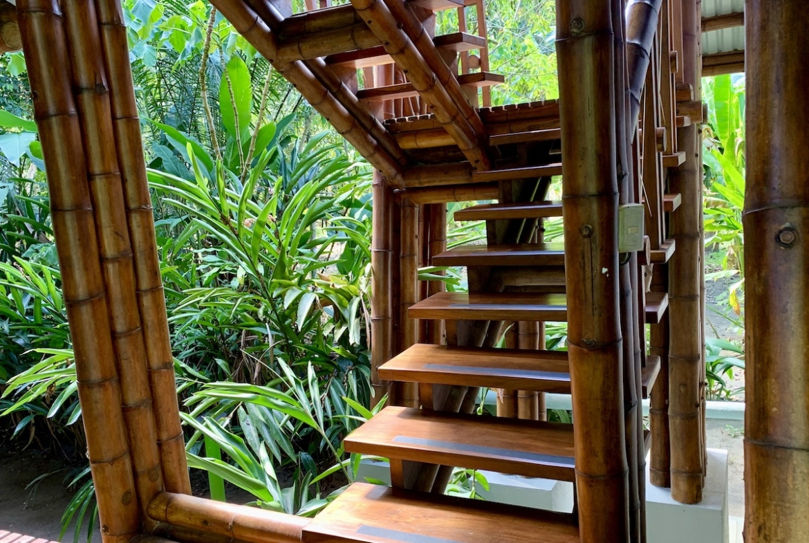 jungle-beach-exotic-retreat