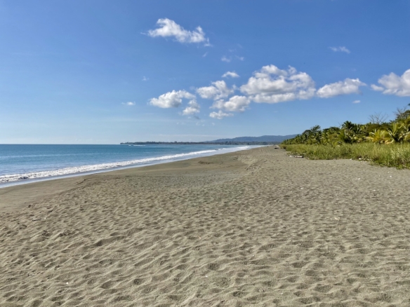 jungle-beach-exotic-retreat