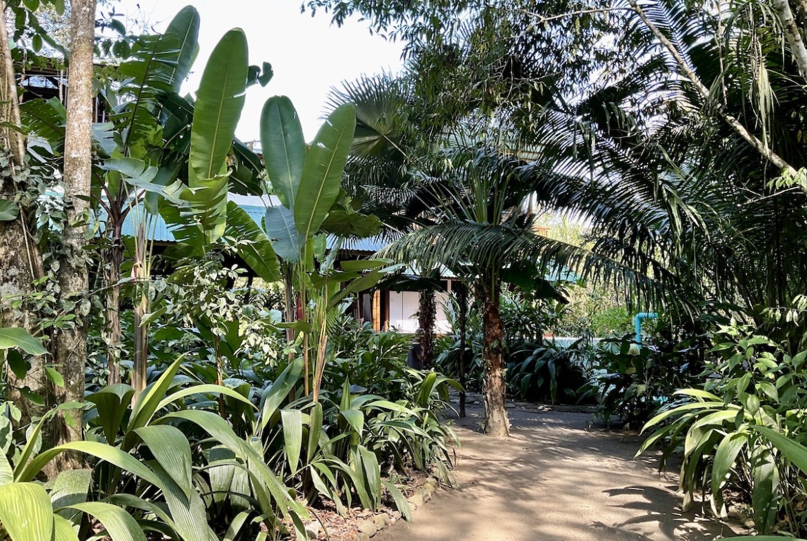 jungle-beach-exotic-retreat