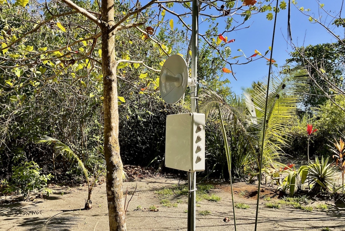 jungle-beach-exotic-retreat