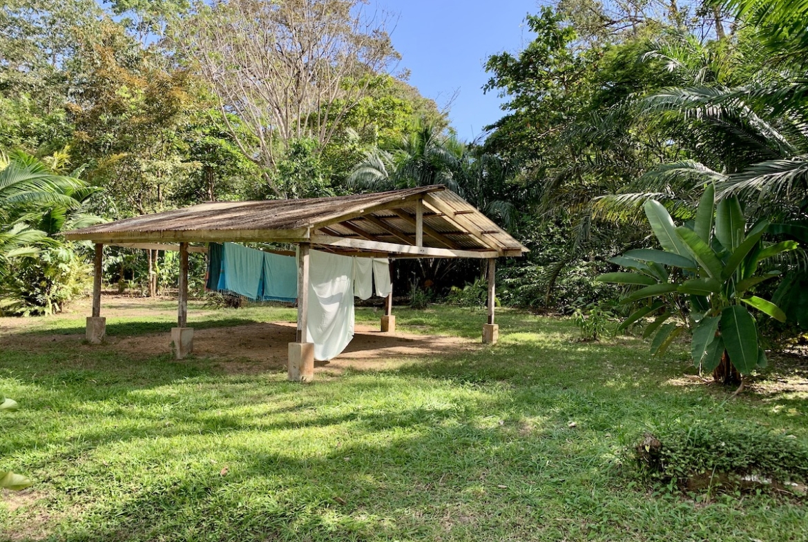 jungle-beach-exotic-retreat