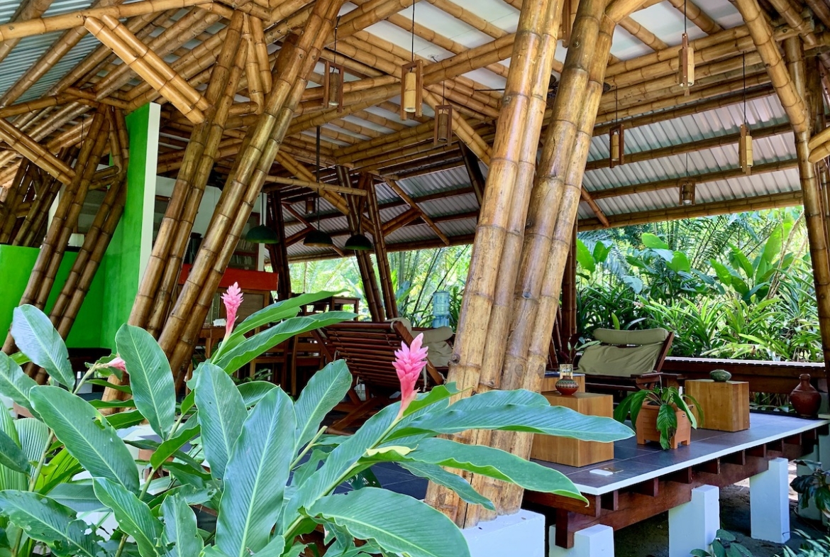 jungle-beach-exotic-retreat