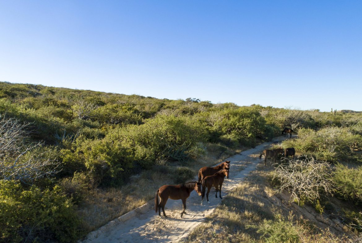 punta-perfecta-development-parcel