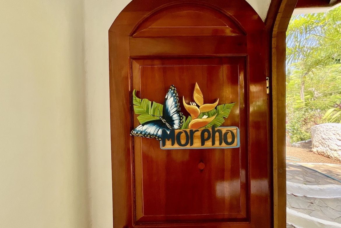 spectacular-ocean-view-resort-property