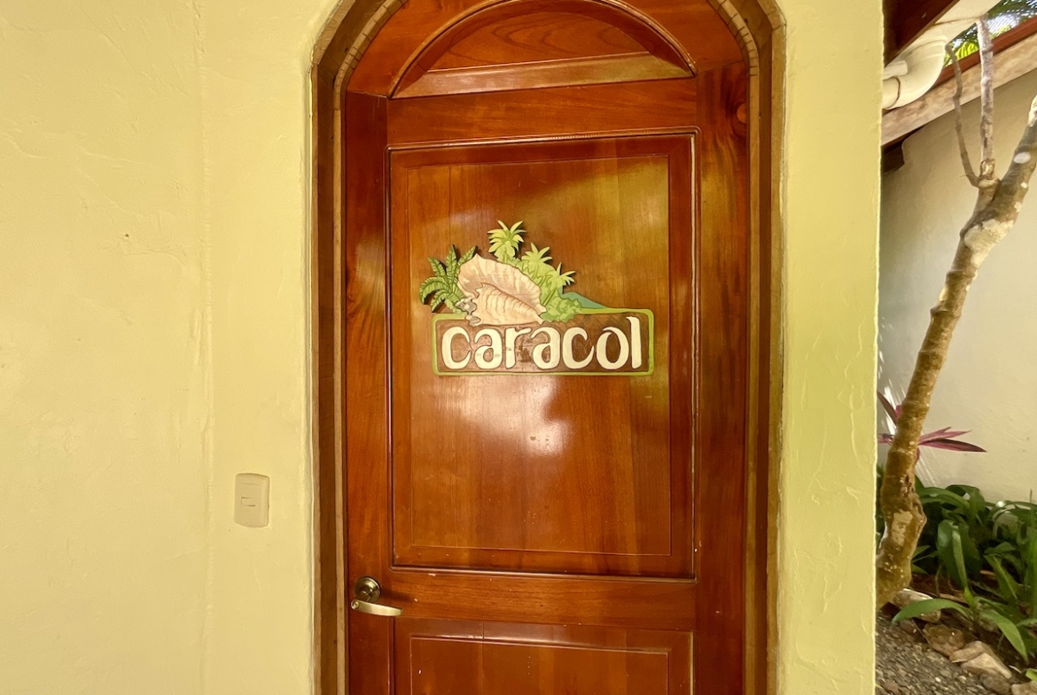 spectacular-ocean-view-resort-property