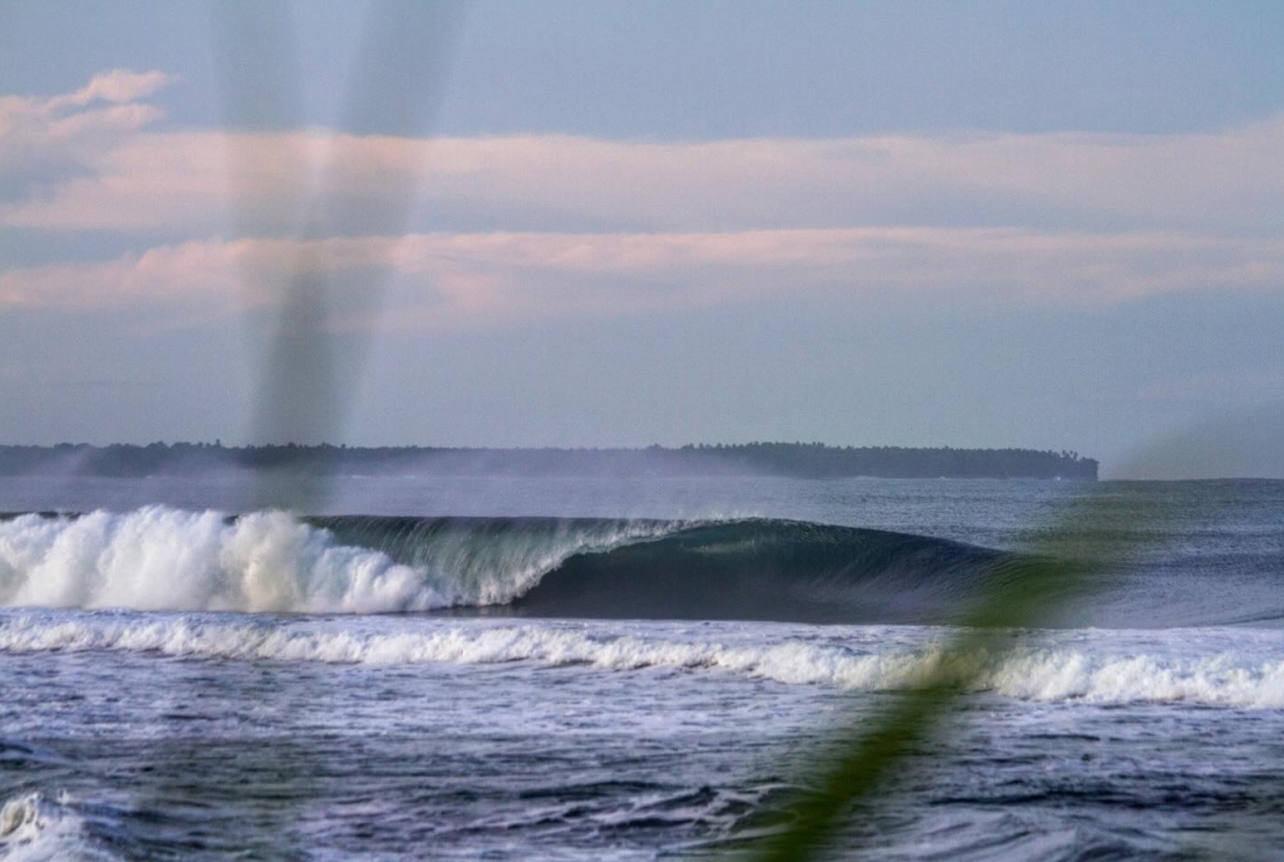 illa-santai-mandiri-krui-west-sumatra-for-sale