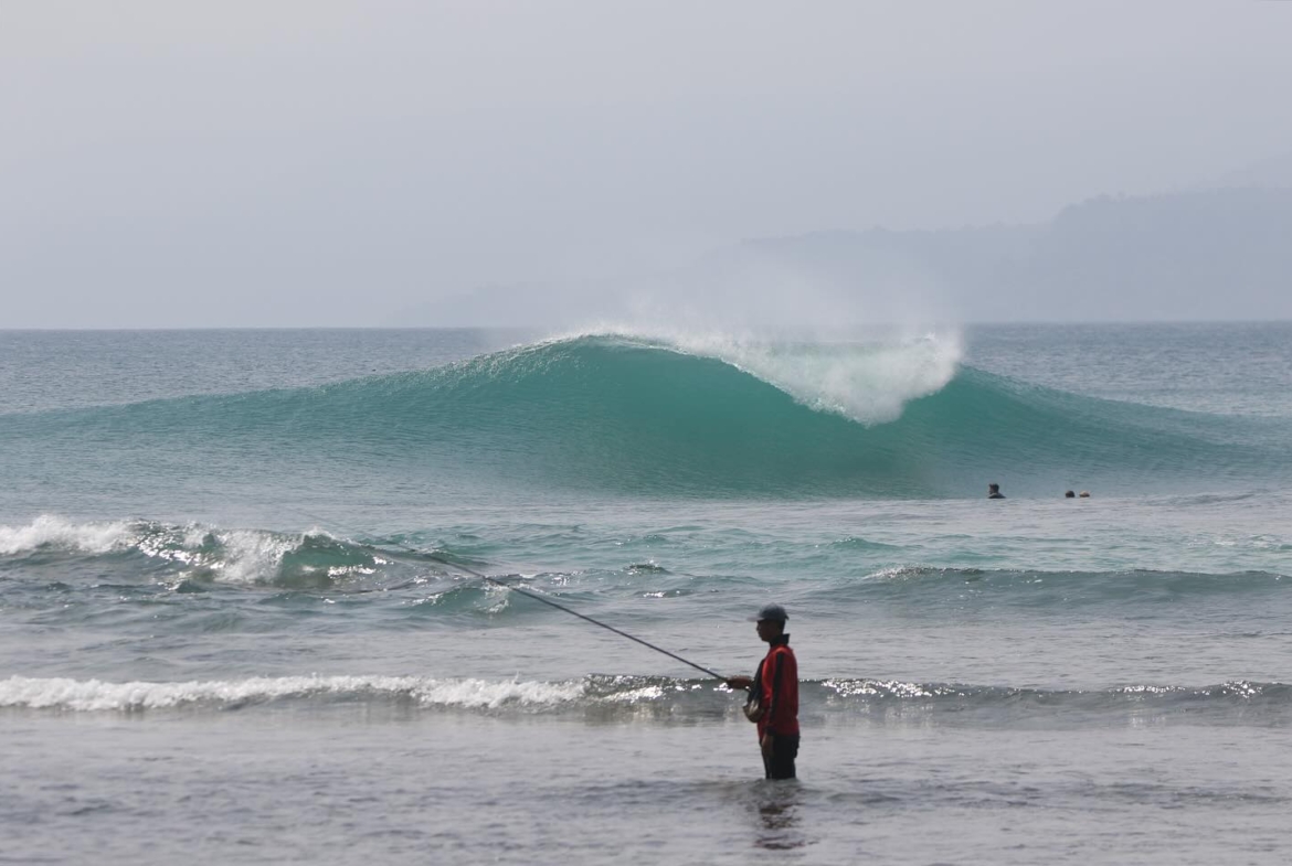mandiri-beach-krui-surfing