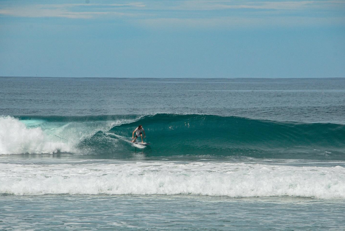 illa-santai-mandiri-krui-west-sumatra-for-sale