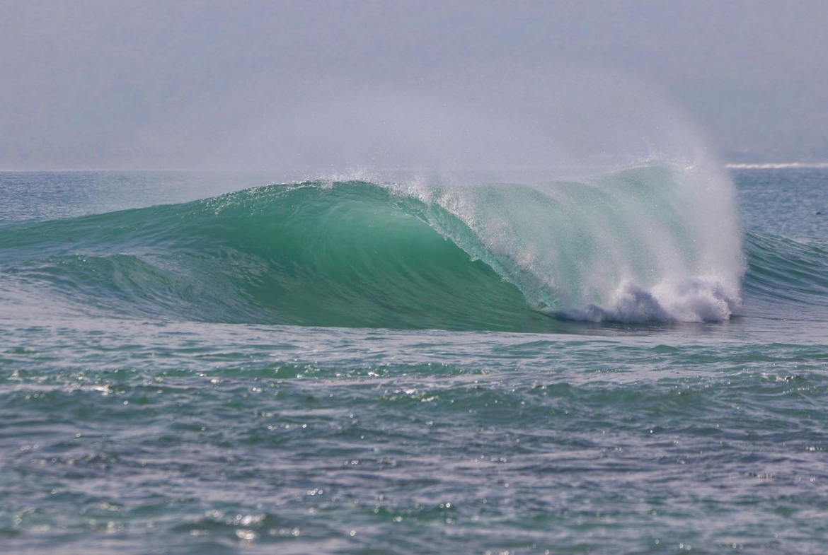 illa-santai-mandiri-krui-west-sumatra-for-sale