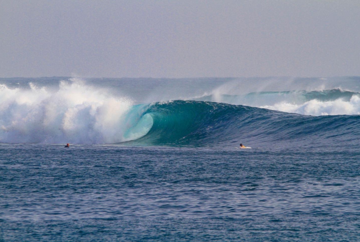 illa-santai-mandiri-krui-west-sumatra-for-sale