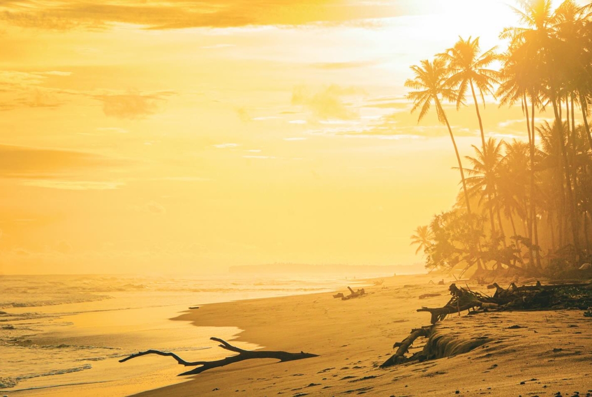 illa-santai-mandiri-krui-west-sumatra-for-sale