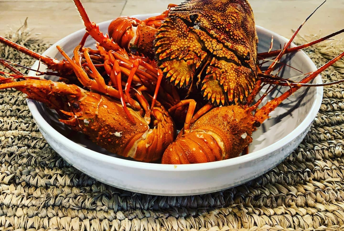 illa-santai-mandiri-krui-west-sumatra-for-sale