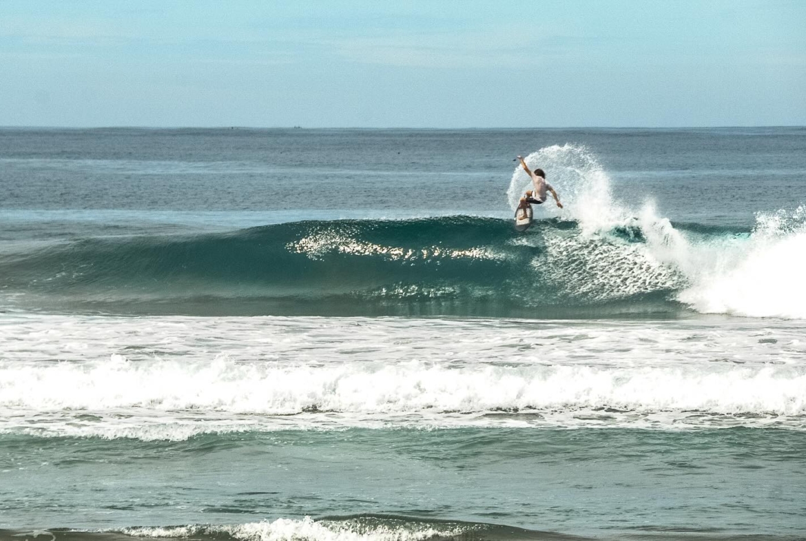 illa-santai-mandiri-krui-west-sumatra-for-sale