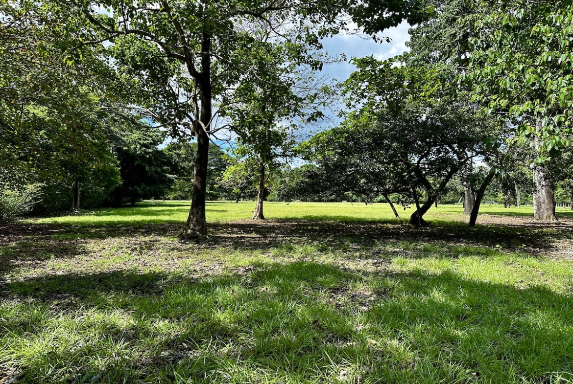 surf-front-property-osa-peninsula-1