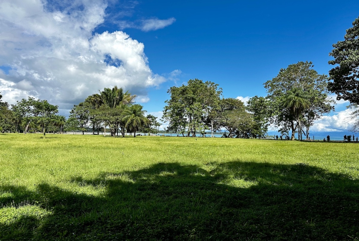 surf-front-property-osa-peninsula-1