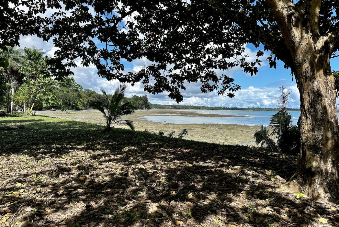 surf-front-property-osa-peninsula-1