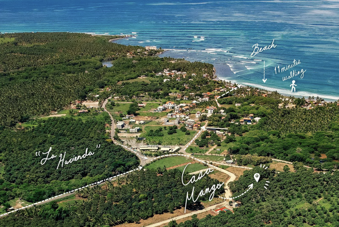 casa-mango-la-saladita