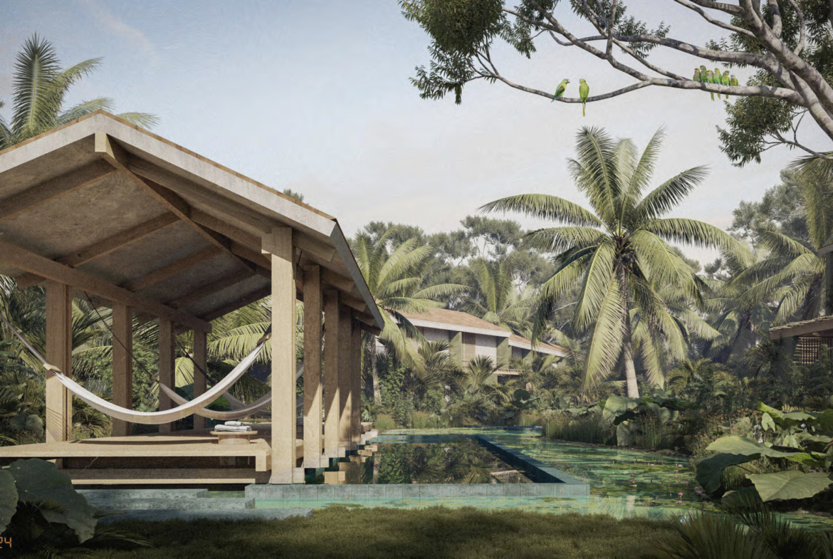 casa-mango-la-saladita