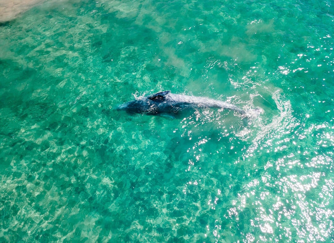 cerritos-beach-condo-for-sale