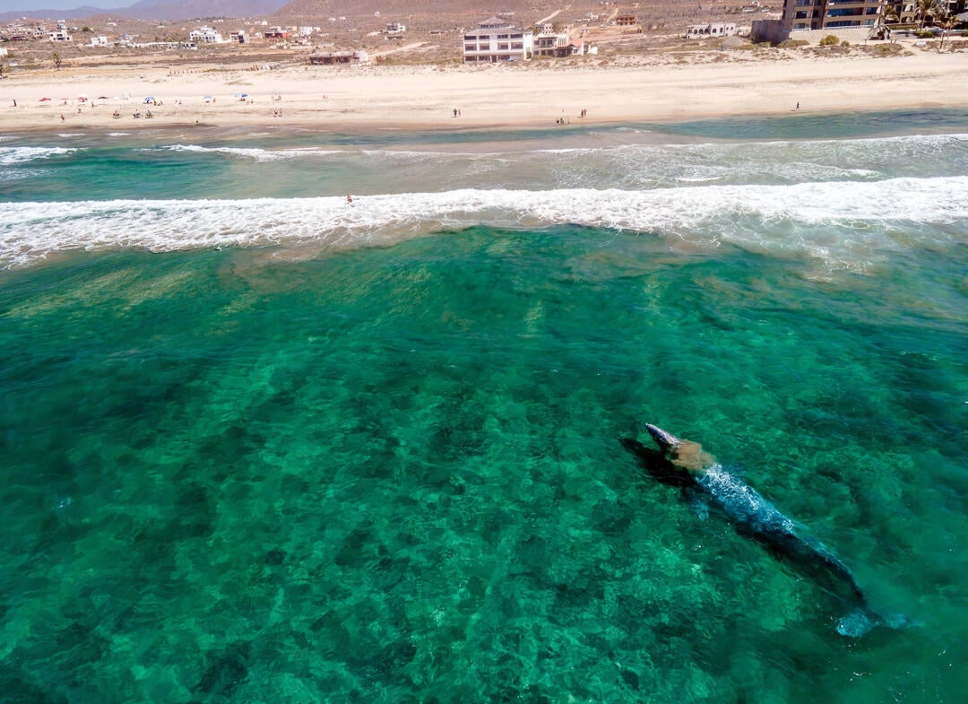 cerritos-beach-condo-for-sale