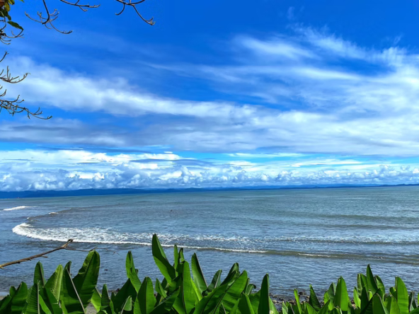 charming-osa-peninsula-beachfront-eco-resort