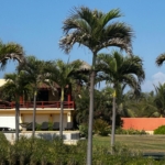 estrella-del-mar-development-saladita-mexico