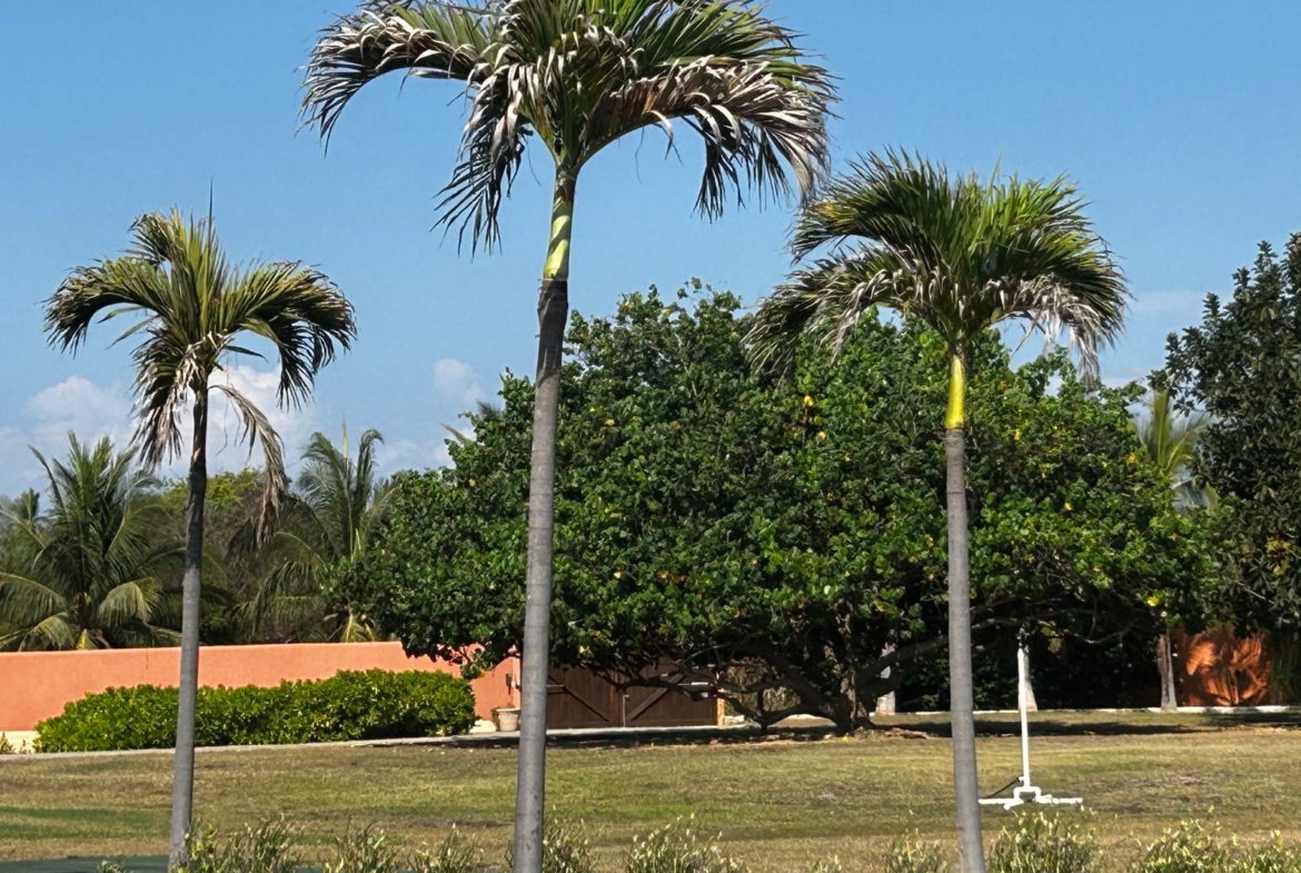 estrella-del-mar-development-saladita-mexico