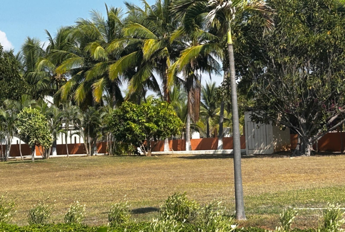 estrella-del-mar-development-saladita-mexico