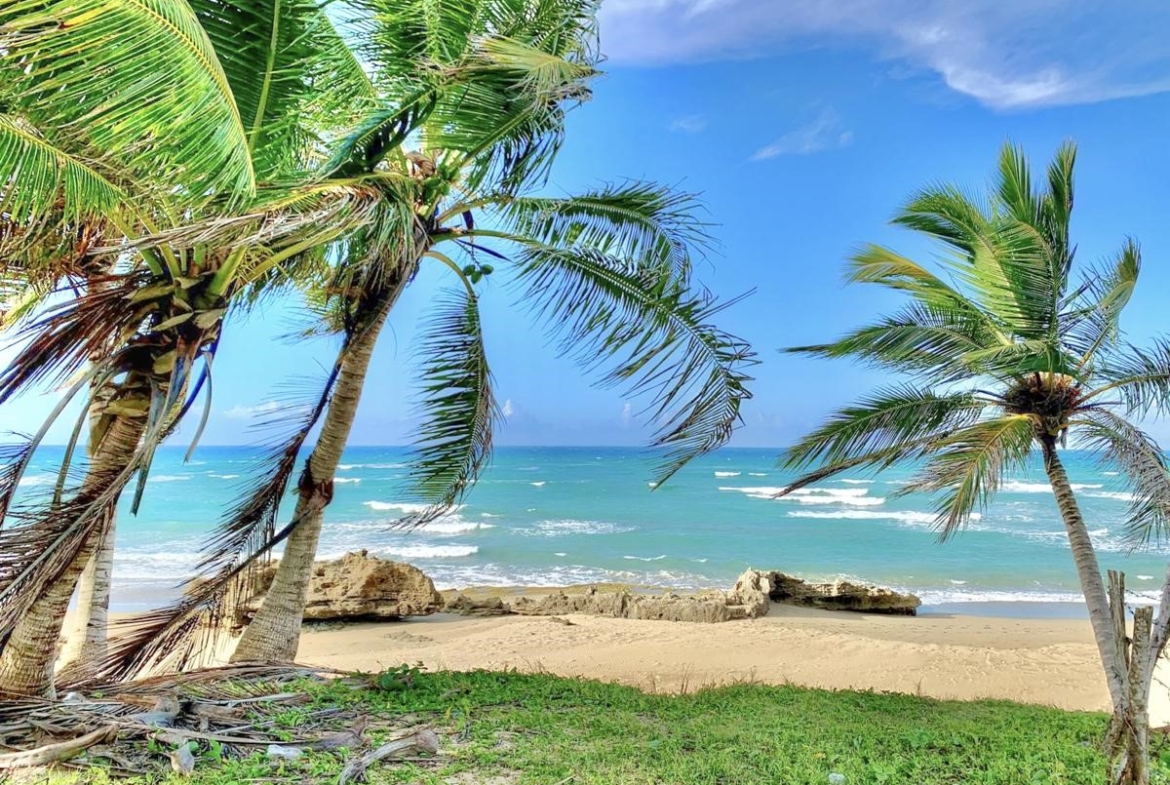 beachfront-lot-encuentro-beach-cabarete-dominican-republic