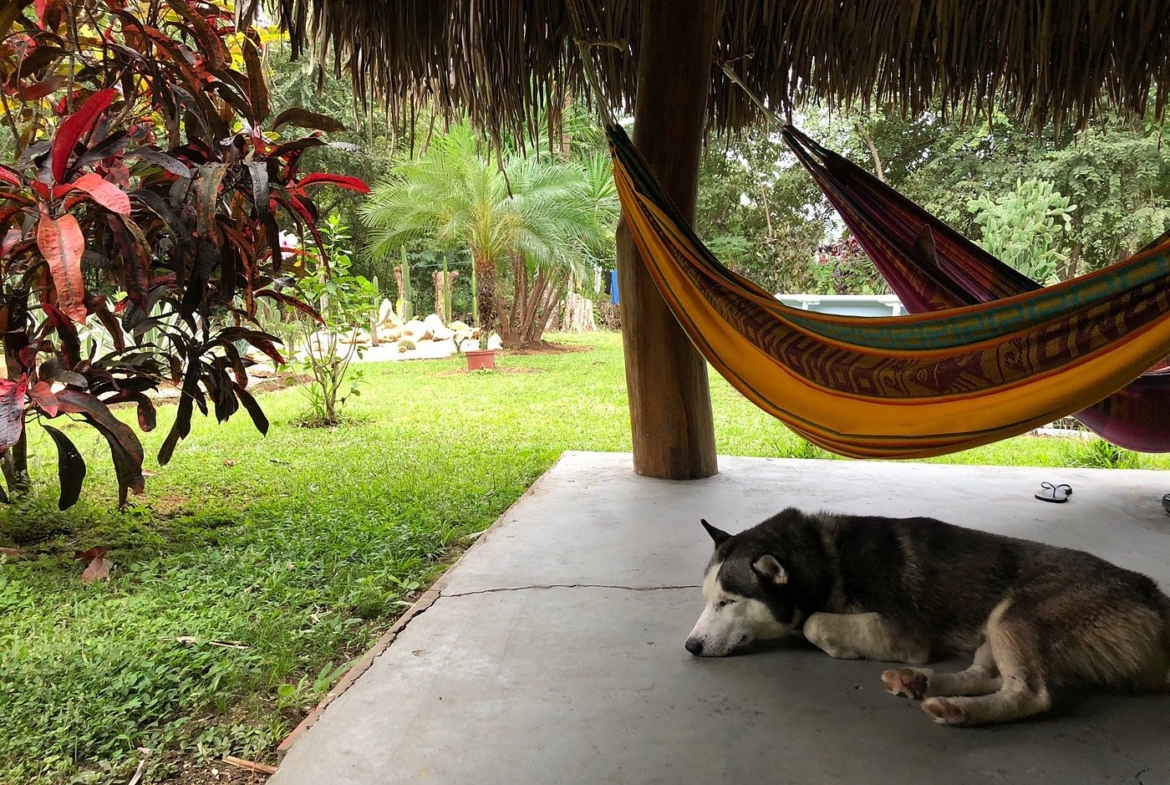 el-ranchito-surf-camp-school-for-sale