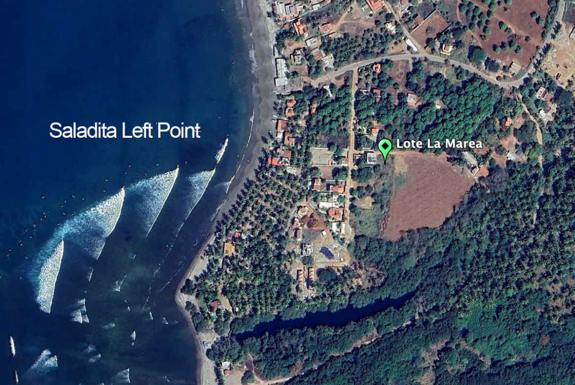 lote-la-marea-saladita-1