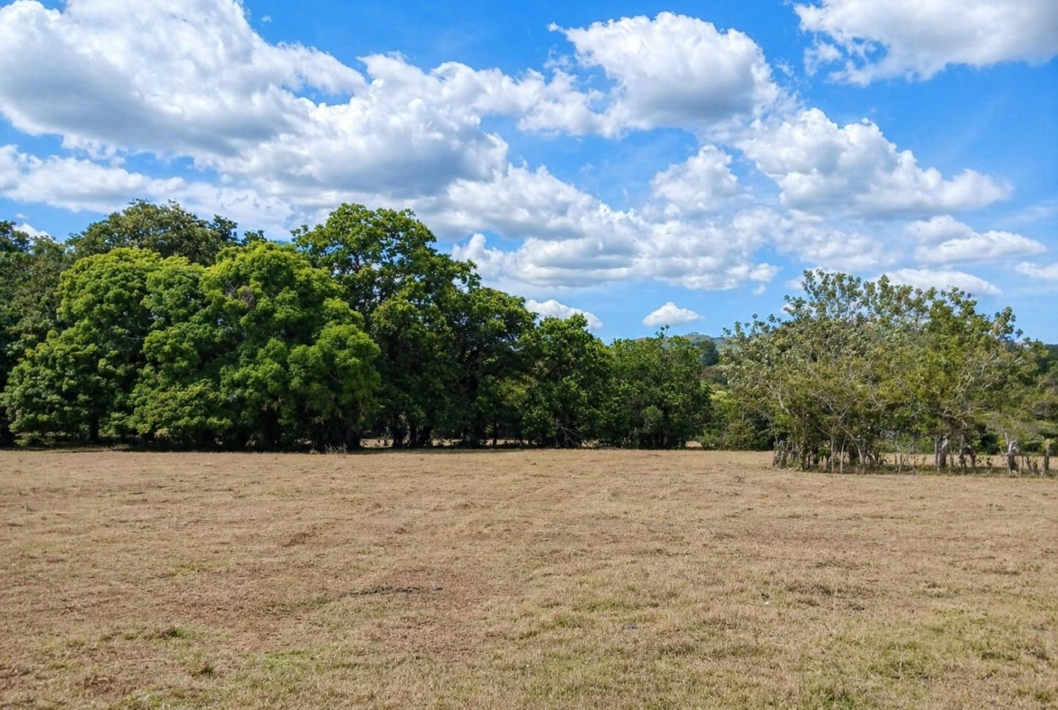 pixvae-veraguas-panama-ocean-view-land-for-sale